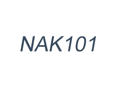 NAK101_日本大同NAK101_超高耐腐蚀预硬钢_NAK101物理性能