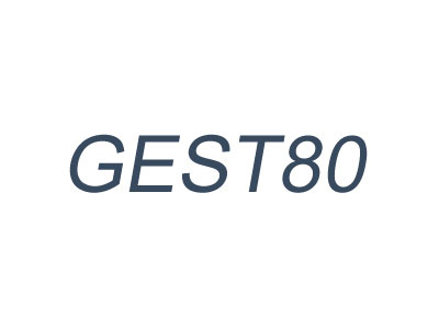 GEST80 VICTORY ESR-德国葛利兹GEST80特殊性质_物理性质_力学性能
