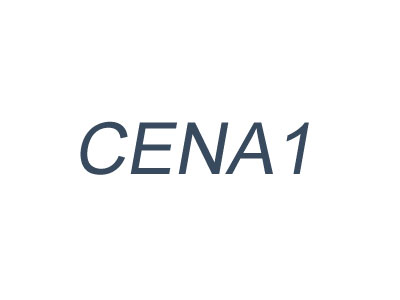 日本日立CENA1 – 东莞弘超厂家直销日本日立CENA1 提供原厂材质证明